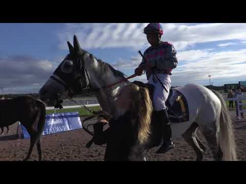 NP Racing Bloomers Vase 2018 Icecapada