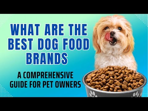 What Are the Best Dog Food Brands A Comprehensive Guide for Pet Owners