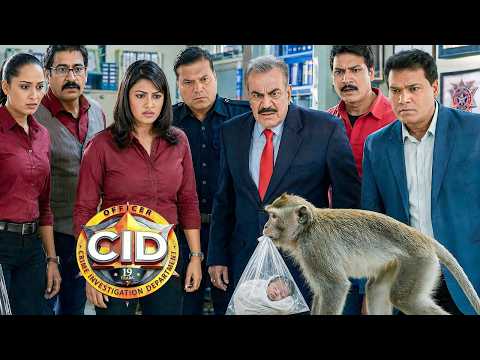 जब एक बंदर CID ऑफिस में उठा लाया नवजात बच्चा, टीम के उड़ गए होश! || CID || New Episode 2026
