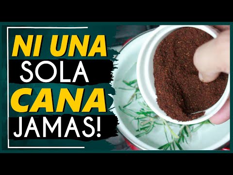 ¡Un Secreto Increíble! Tapa las Canas de Forma Natural con Café y Romeo