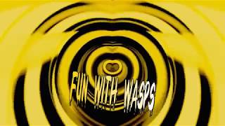 Fun with Wasps Intro Flight of the Bumblebees