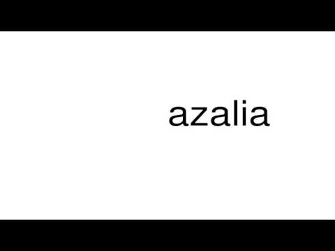 How to pronounce azalia