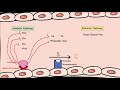 Anticoagulants Naturally Occuring