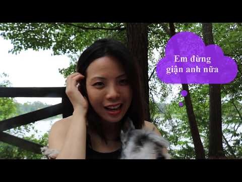 Learn Vietnamese: "I am sorry" "Thank you" "You're welcome"