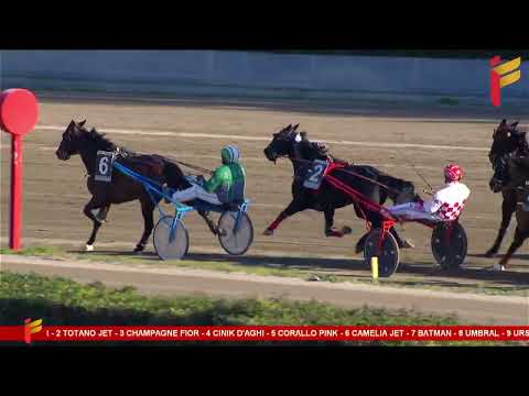 V corsa del 22 febbraio 2023 - 5 Anni ed oltre Cat.F - Metri 1600