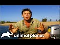 Steve Gets A Little Too Close To A Crocodile The Crocodile Hunter Animal Planet