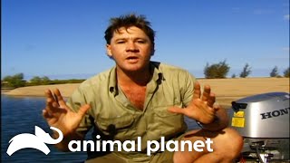 Steve Gets A Little Too Close To A Crocodile | The Crocodile Hunter | Animal Planet