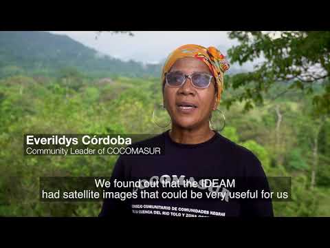 Renforcer la surveillance des forêts dans les communautés locales : voix de la Colombie