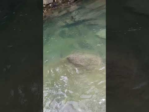 turismo san Rafael Antioquia