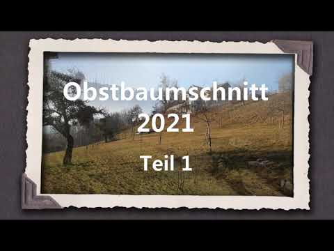 Obstbaumschnitt 2021 - Teil 1