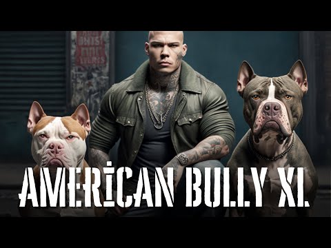 , title : 'American Bully XL – Standard, Regimen, Bloodlines, Breeding & FAQ'