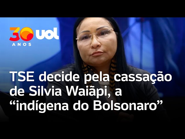 Sílvia Waiãpi : l'analyse économique — image 4