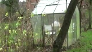 Laura Veirs - Galaxies (with lyrics)