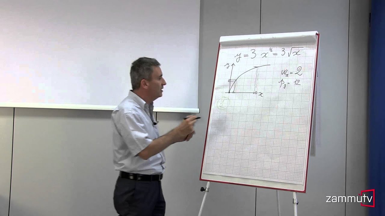 Microeconomia - Esercizi tipo: 10, 11, 12, 13 - Tecnologia, costi e scelte ottimali di un'impresa