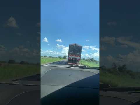 Trecho de riachão das Neves Bahia br-135