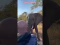 ஆளும் மண்டையும் பாரு மார்க்கமா இருக்கான் #shortsfeed  #elephant #dubbing #comedy #voiceover