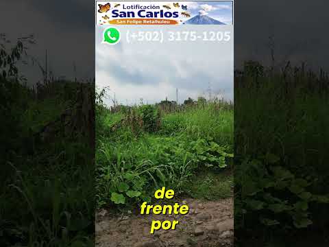 ¿Deseas un lote más grande que el promedio en lotificación San Carlos, San Felipe, Retalhuleu?