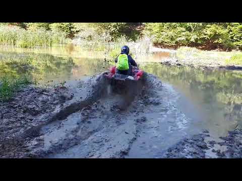 Off road Sauaieu Bihor