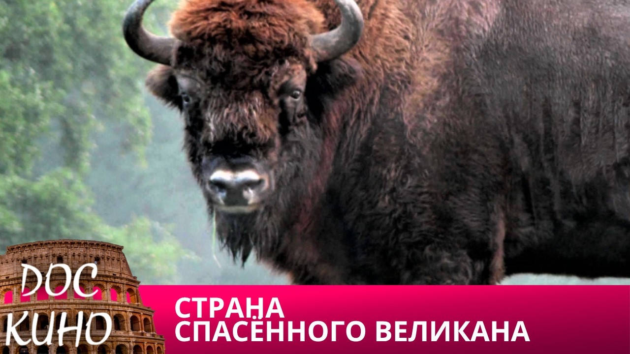 🎭СТРАНА СПАСЁННОГО ВЕЛИКАНА🌎 ДОКУМЕНТАЛЬНОЕ КИНО 🎆 2021