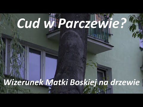 To jest właśnie Polska