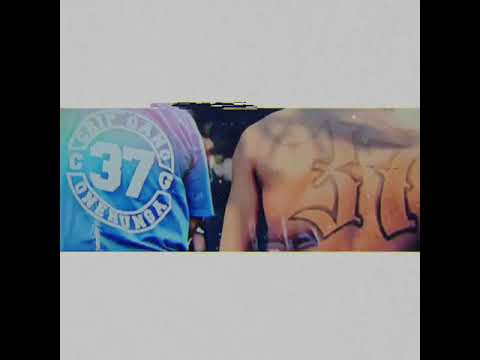 lazy edit 37 onehunga on top