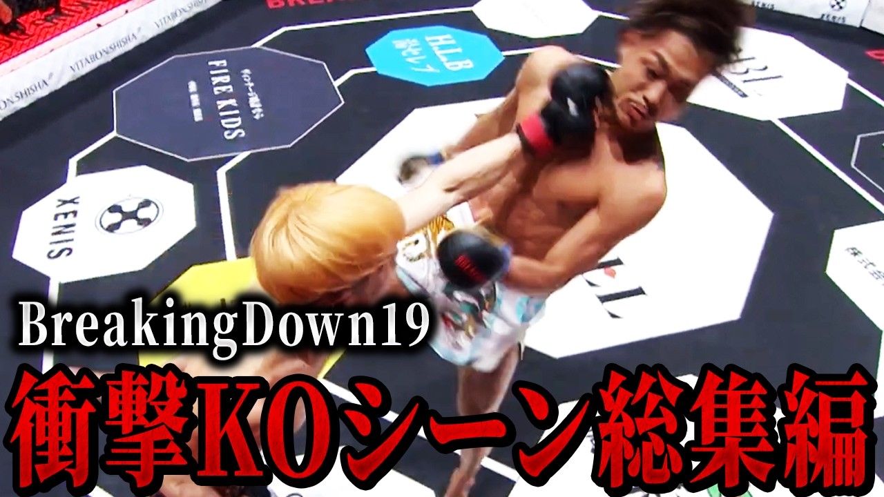 ブレイキングダウン19の衝撃的なKOシーンを集めてみた【ブレイキングダウン/切り抜き】