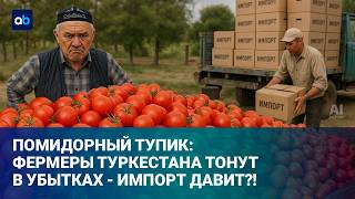 Цена помидоров: импорт за 350 против своих по 550 тенге - что делать фермеру?