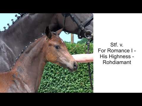 Stf v For Romance I x His Highness x Rohdiamant 2020