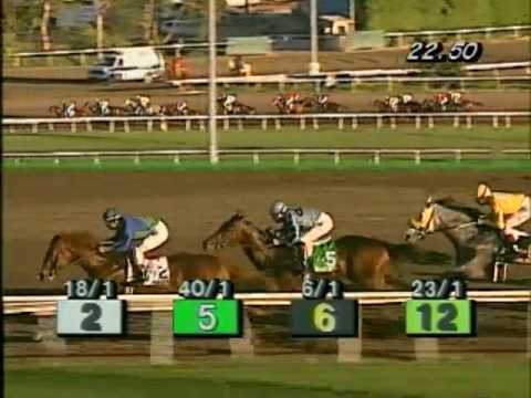 1996 Hollywood Futurity (GI) - Swiss Yodeler