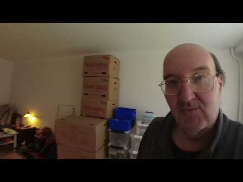 MongoTV_10699 - Vasker OP Lørdag og Blander SAFTEVAND og SNAKKER