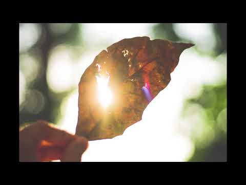 Aș vrea ca din lumină - Nona Sălăjan (poezie)