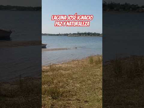 Laguna José Ignacio: calma, viento y un bote al atardecer 🌊⛵
