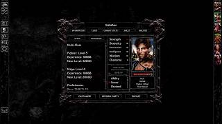 Status Issues - Let's Play Baldur's Gate Part 86