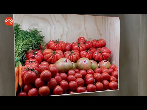 Marokko übernimmt die Kontrolle der Tomaten in der Europäischen Union.