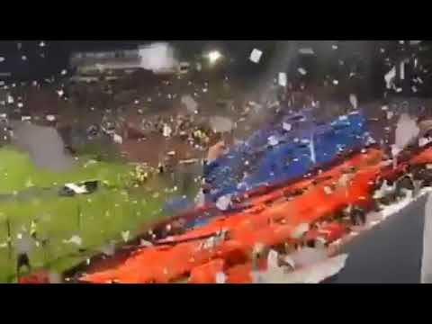 "Para ser hincha de cerro" Barra: La Plaza y Comando &bull; Club: Cerro Porteño &bull; País: Paraguay