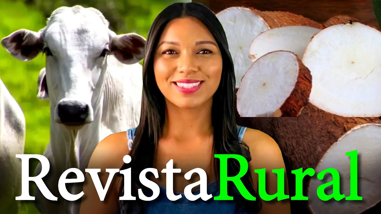 PROGRAMA REVISTA RURAL - 25/08/2024