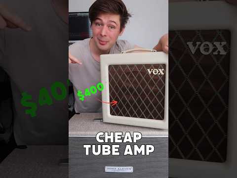 Are Cheap Tube Amps Better than Digital? #guitaramp #tubeamp #guitartone
