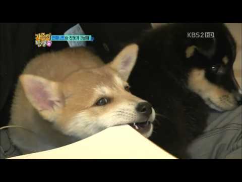 111119 - Infinite cut [3/3] @ KBS Birth Of A Family (Episode 2)