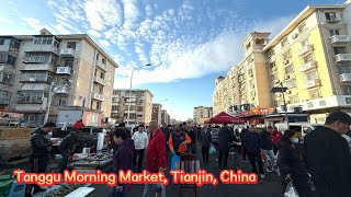 Download the video "The Tanggu morning market in Tianjin, China.#streetfood #seafood #market #china #gourmet #chinavlog"