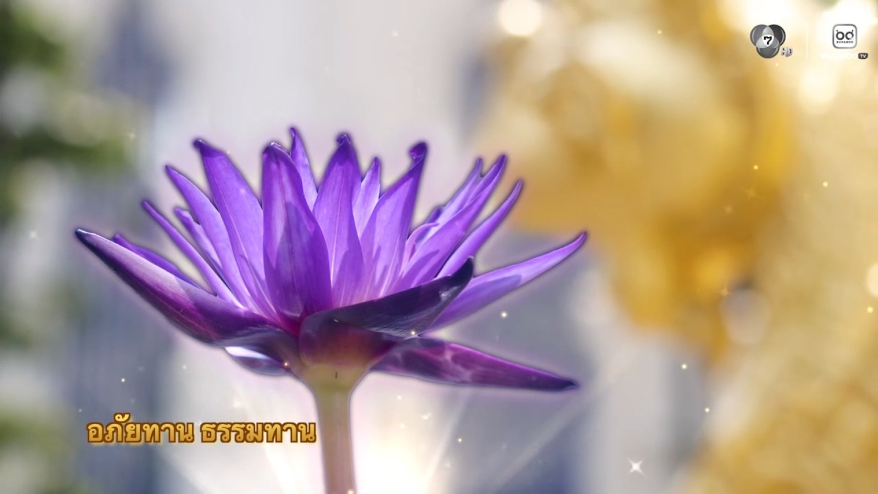 อภัยทาน ธรรมทาน | พรุ่งนี้วันพระ