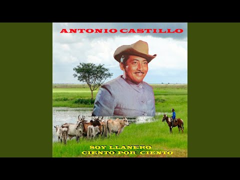 Homenaje Al Llano Adentro