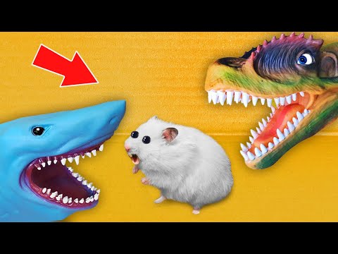 🦖 Dinosaur and Shark 🦈 - Hamster Maze with Traps ☠️ [OBSTACLE COURSE]