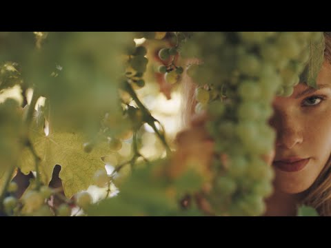 Hoxtones & DFE feat. Lina Moore - 2 Times [Official Video]