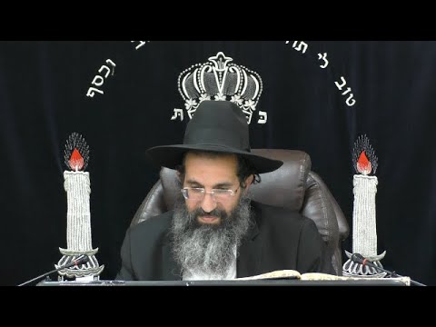 הלכות כבוד רבו ותלמיד חכם - ט' - כבוד רבו (ואביו) | יורה דעה - סימן רמב | חלק 291 | הרב שי עובד