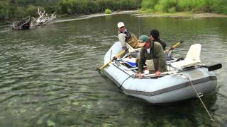 Argentine Trout, Golden Dorado & Dove Hunting.  HD Version