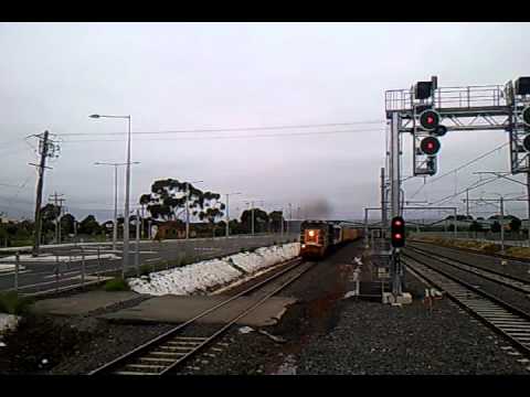 Australian Locomotives - EL Zorro - 9767v