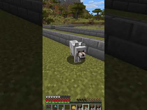 UNBELIEVABLE! NOT A SHEEP in Minecraft?! #crazy