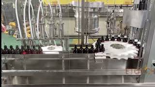 Syrup Filling Line and Capping Machine in FAT Test | 40 BPM (1)