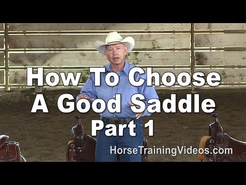 download lagu mp3 mp4 Western Saddle Brands, download lagu Western Saddle Brands gratis, unduh video klip Western Saddle Brands