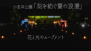 花と光のムーブメント　小金井公園「刻を紡ぐ夏の浪漫」